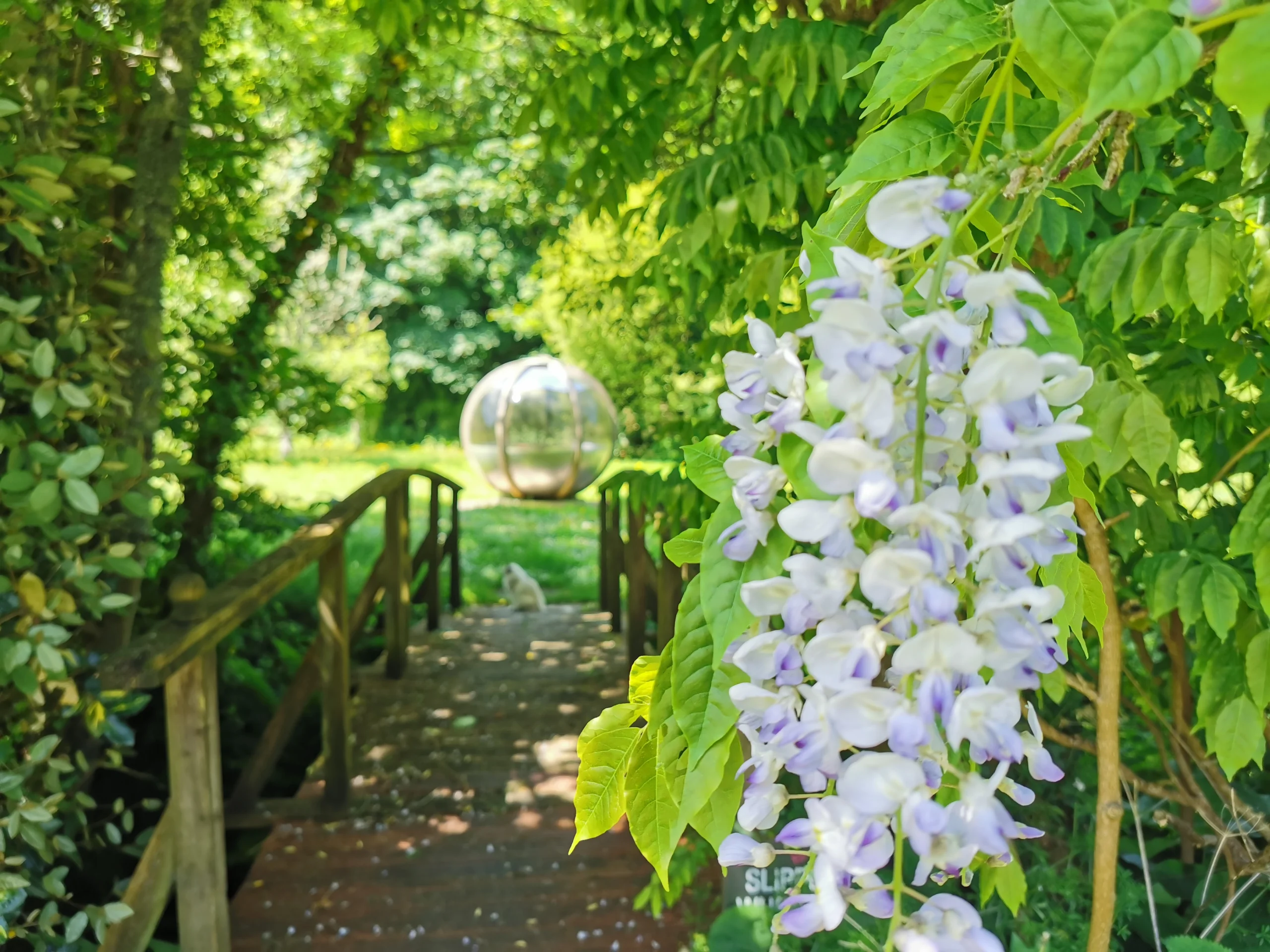 Bridge over the stream at Rose in Vale Country House Hotel
