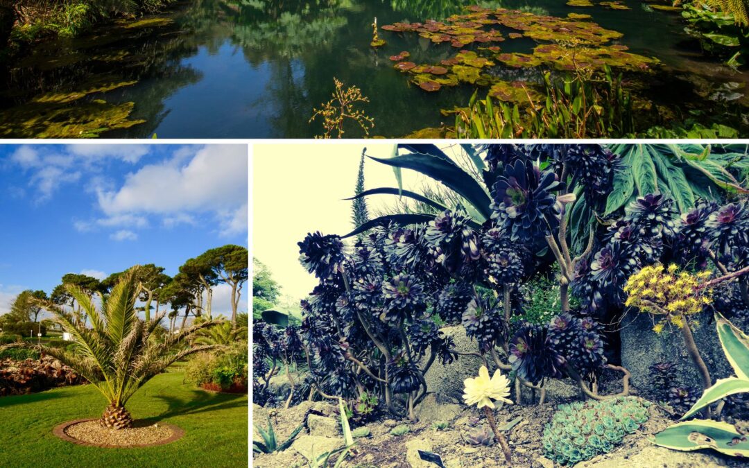 12 ‘Must See’ Gardens in Cornwall