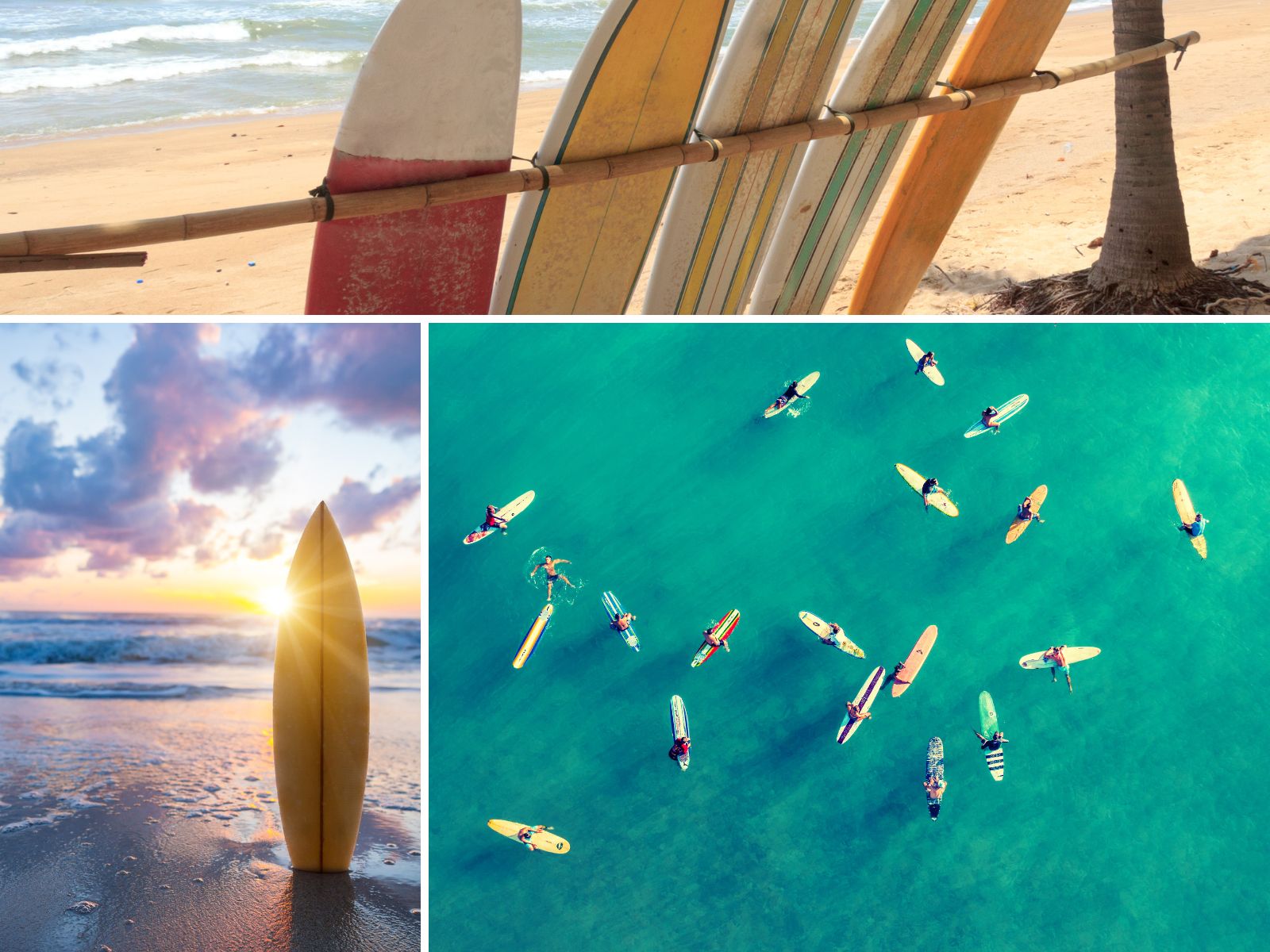 Three images showing the process of crafting a wooden surfboard: workshop assembly, finished board leaning against a blue door, and a person seated beside a black dog in a workshop.