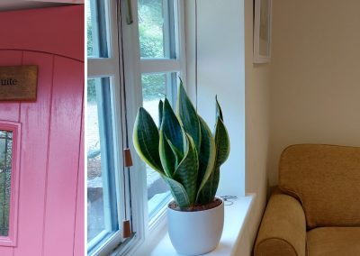 A pink door labeled "Magor Wellness Suite," a window with a potted snake plant on the sill, and a beige sofa with a floral cushion in this light-filled room are perfect for your next wellness suite hire.