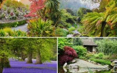 12 ‘Must See’ Gardens in Cornwall